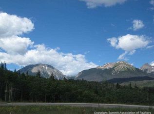 25 Angler Mountain Ranch Rd, Silverthorne, CO 80498