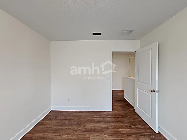 1397 Celery Palm Cv — Photo 26