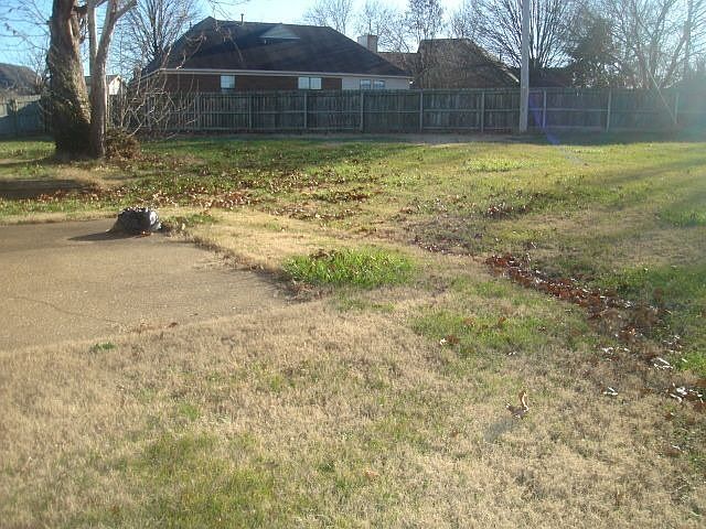 7439 Charleston Run Cove, Memphis, TN 38125