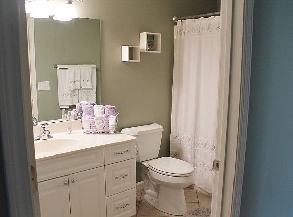 Upper Level Hallway Bath