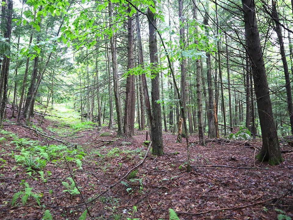 0 E Schroon River Rd LOT WP001, Diamond Pt, NY 12824 Zillow