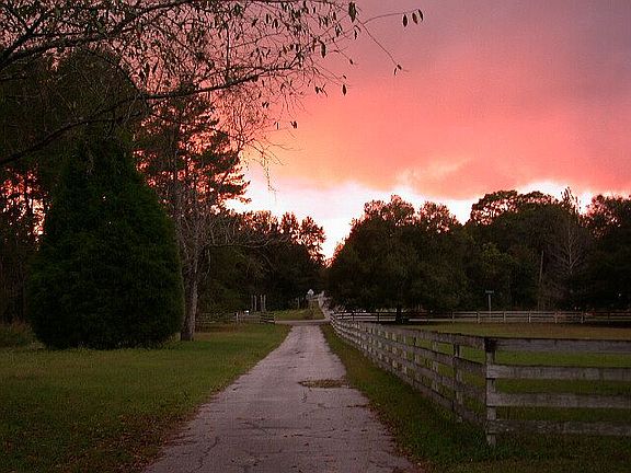 main driveway