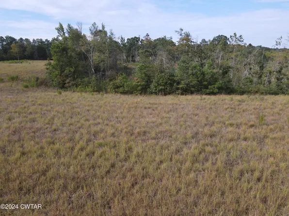 0 Tract Hwy #3-100, Decaturville, TN 38329