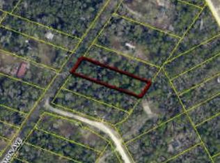 Tbd Sw Washington Avenue, Fort White, FL 32038