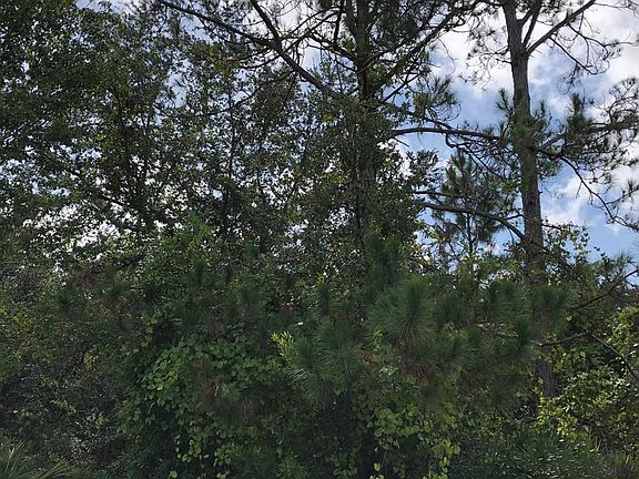 5th image of 7 White Hurst Ln