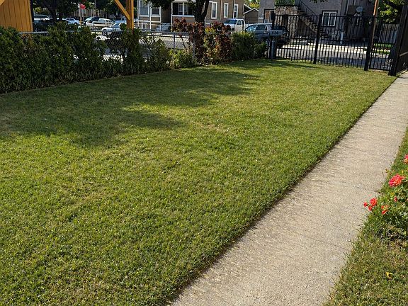 Front Yard