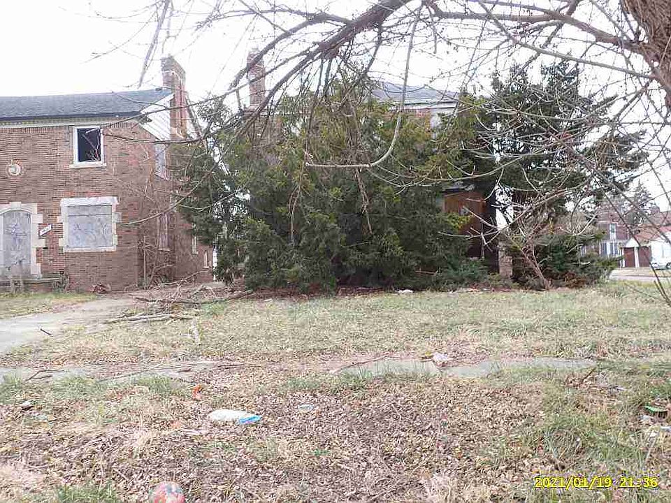 14202 Rosemary