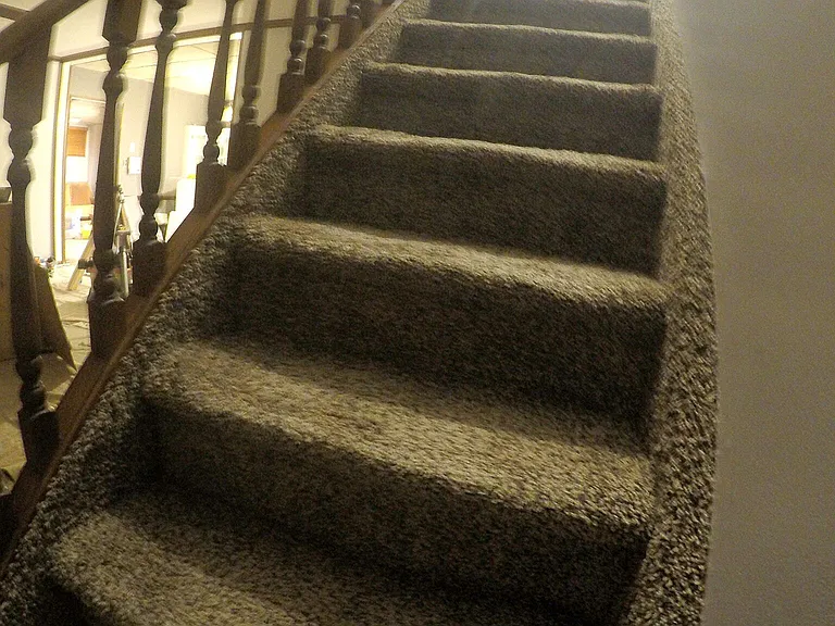25 Plumtree Rd #1 — Photo 16