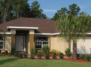 10 Arena Lake Cir, Palm Coast, FL 32137