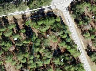2 Statice Ct #1, Homosassa, FL 34446