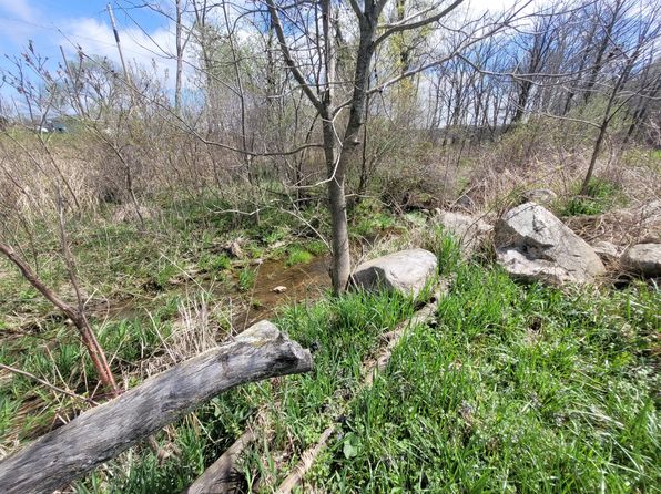 17337 Calvin Hill St, Cassopolis, MI 49031