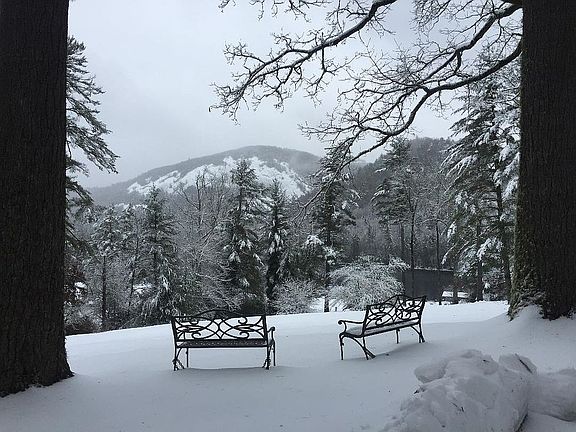 2nd image of 96 Dogwood Knob #1A