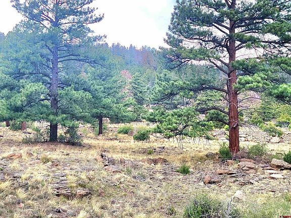 5th image of Lot 42 Ellingwood Drive