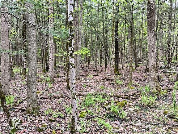 4th image of 801 Oakwood Circle