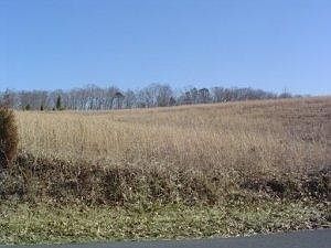 2nd image of Willow Ct
