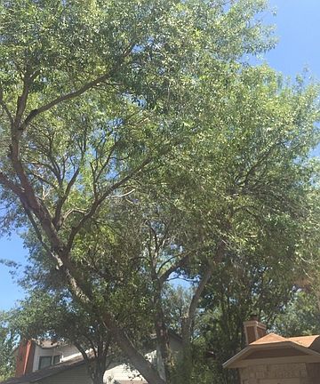 3rd image of 5510 Mountain Vista Dr
