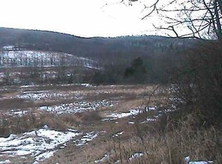 1146 Scotch Church Rd, Pattersonville, NY 12137