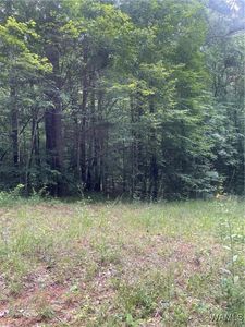 0 Hargrove Rd E, Cottondale, AL, 35453