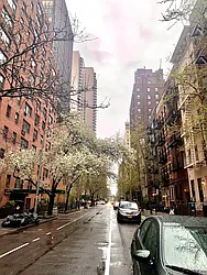 Rented by Bond New York