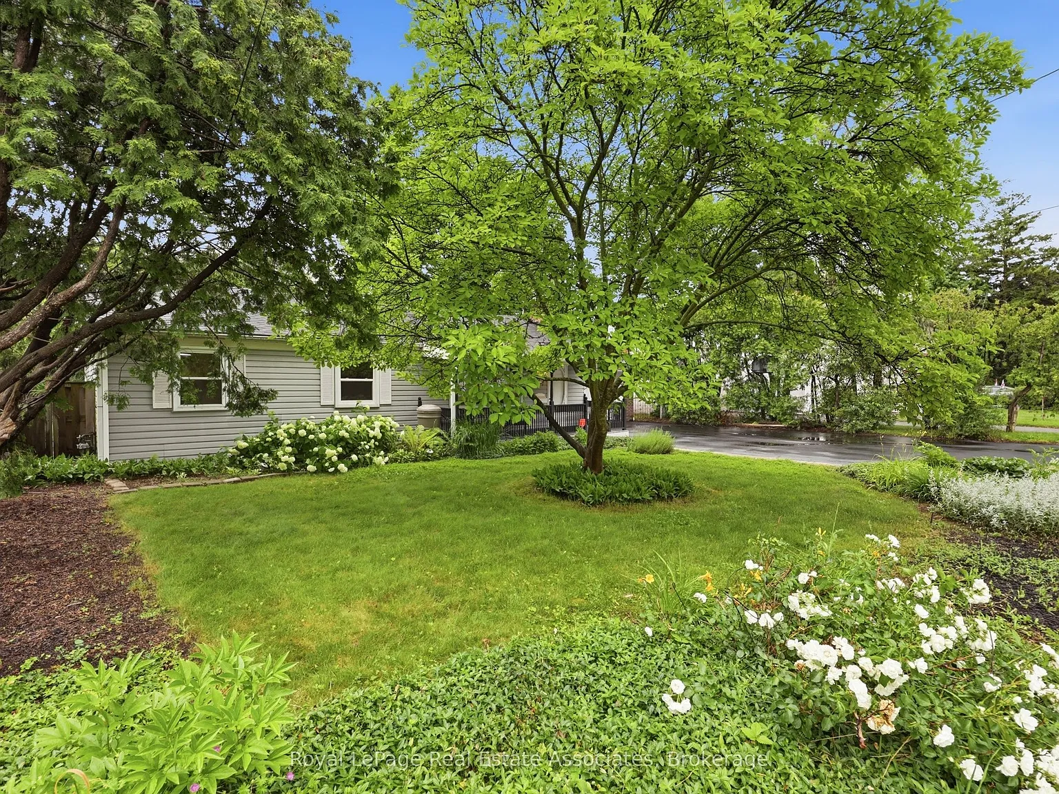 3 bed, $3,850 — Photo 4