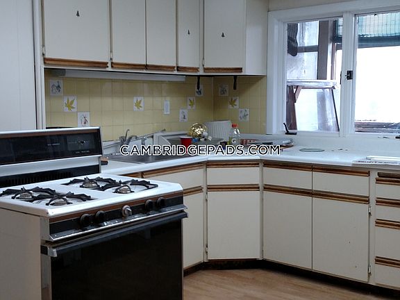 Picture of Kitchen