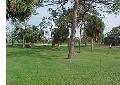 2nd image of 283 Shadowridge Ct