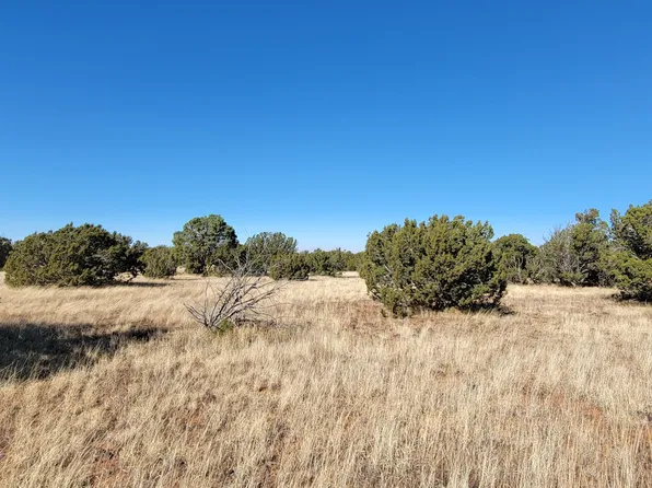 2477 Jay Rd, Show Low, AZ 85901