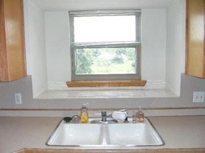 Plant Window over Sink