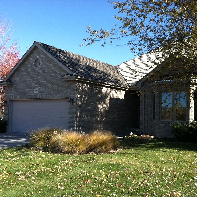 Front yard view