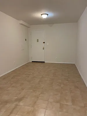 Rented by Manhattan Flats | media 7