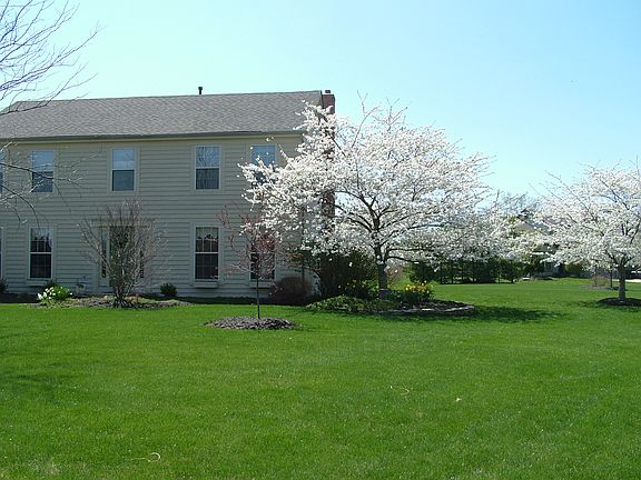 Springtime glory!