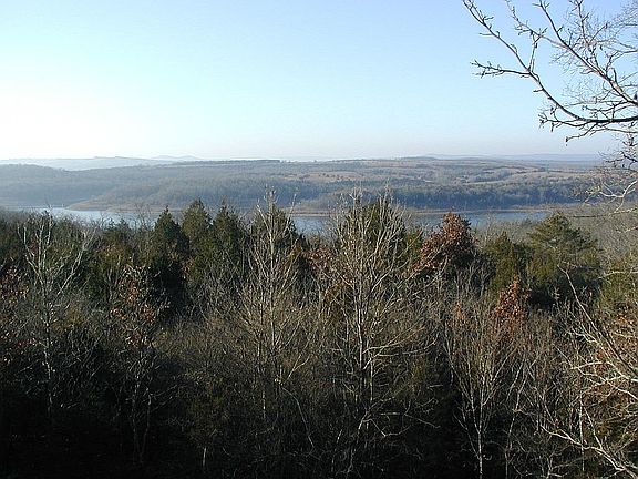 180 deg view w/cut trees