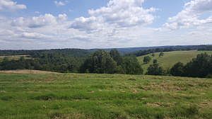 4th image of 3954 S State Highway 125