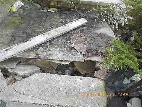 14288 Cedargrove