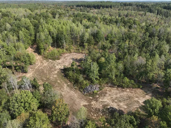 0 Fire Tower Rd Tract 2, Erin, TN 37061