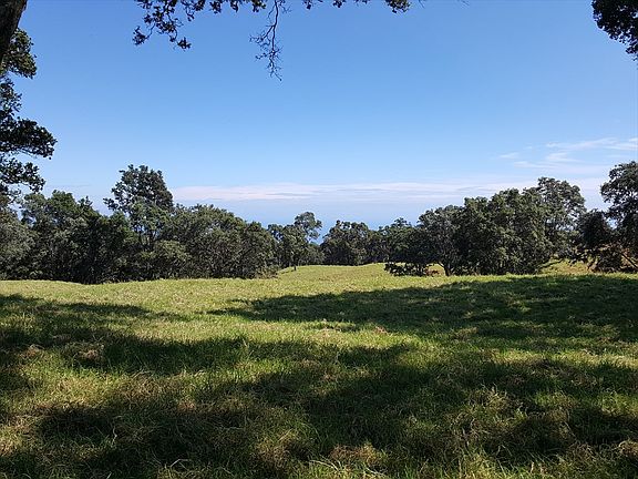 5th image of LOT 19 C
