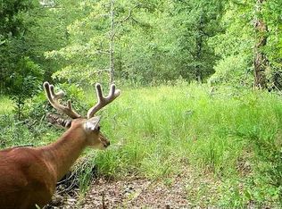 S Skylark Rd, Lane, OK 74555