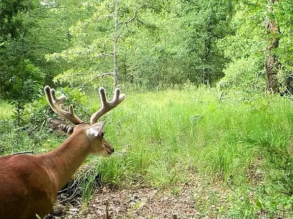 S Skylark Rd, Lane, OK 74555