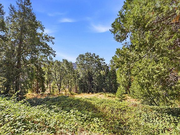 3rd image of 3124 Meyers Rd