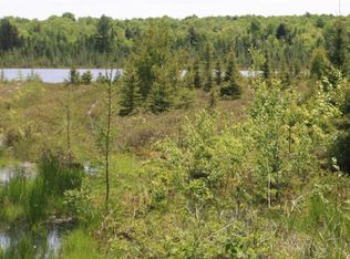 Tbd Skyline Laurel Lk, Newberry, MI 49868