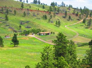 13380 Edgewood Pl, Piedmont, SD 57769