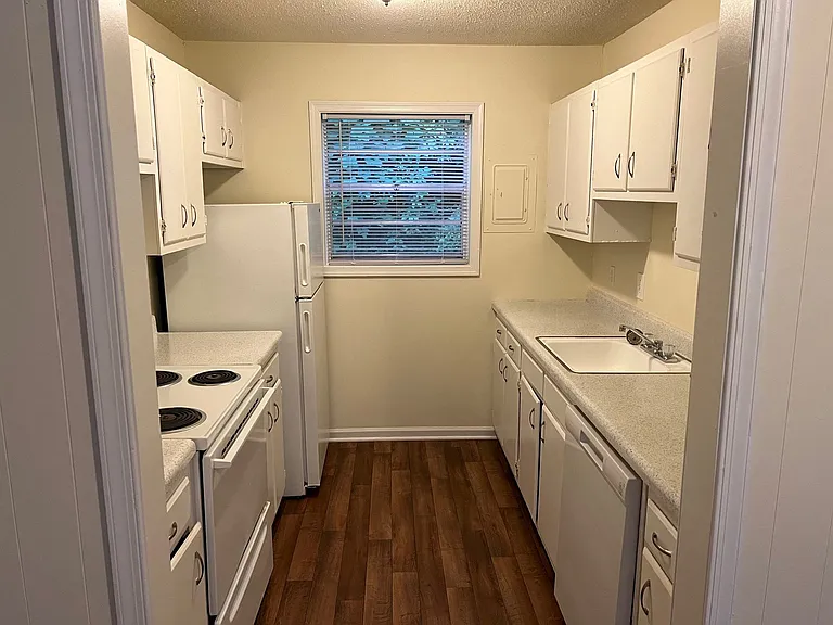Renovated Kitchen with plank flooring