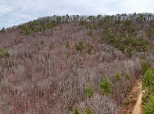 Big Rock Ln, Lowgap, NC 27024