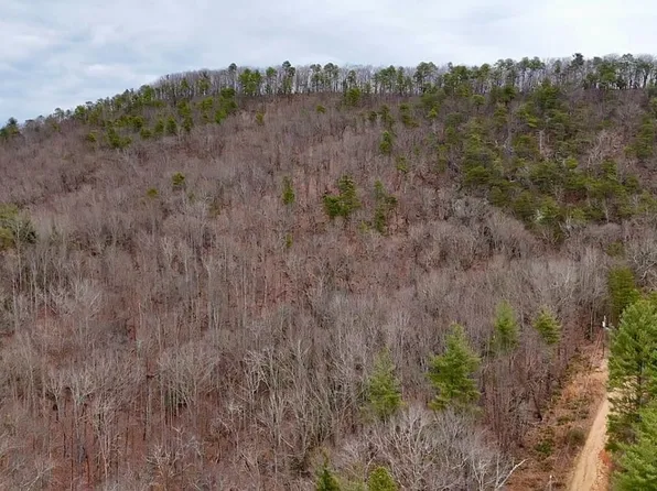 Big Rock Ln, Lowgap, NC 27024