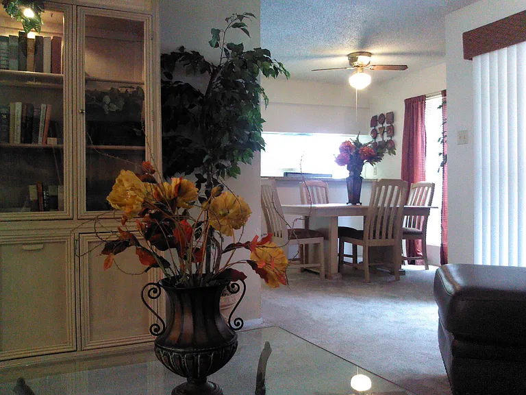 Sun Colony — Photo 19