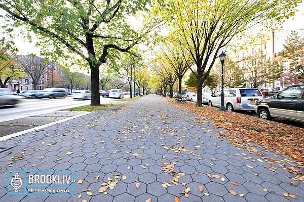 Rented by null | media 43