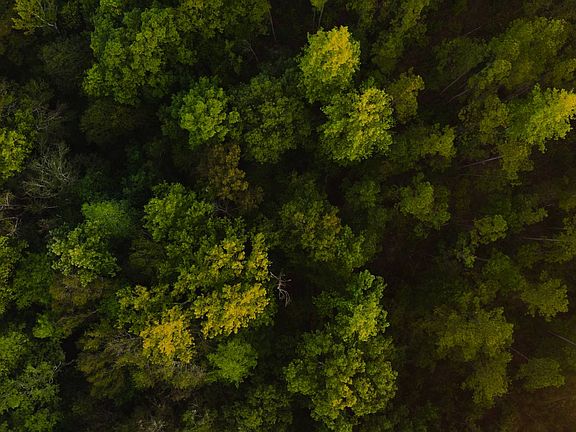 4th image of 0 Grice Rd