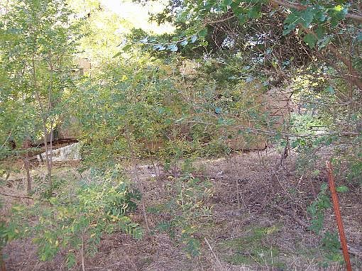 2nd image of 1664 3rd St
