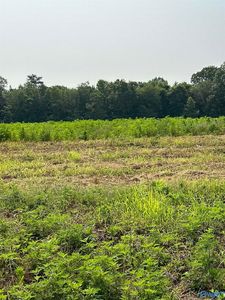 TRACT 37 Hays Mill Rd, Elkmont, AL, 35620