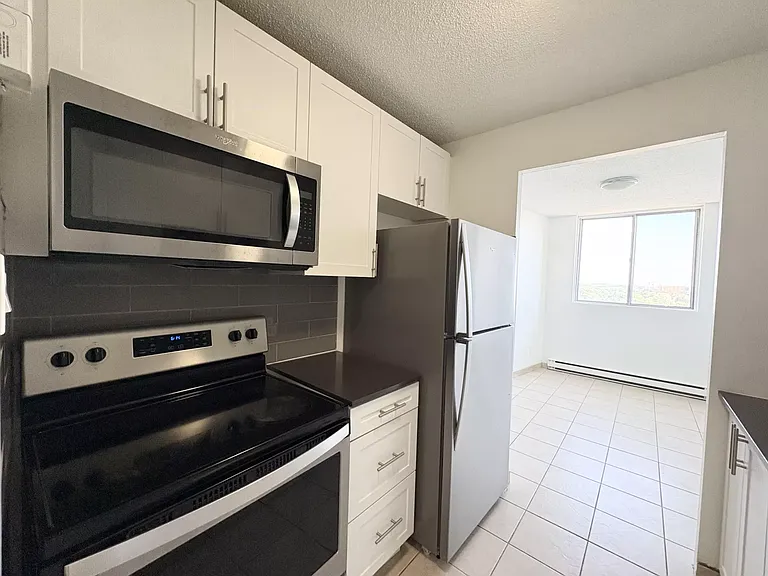 294 Chandler Dr #1503 — Photo 5